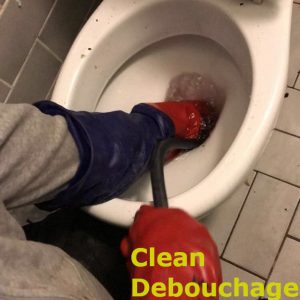 Débouchage toilette, Débouchage WC